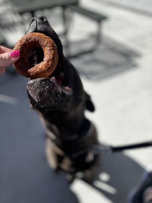 Dank Donuts by null