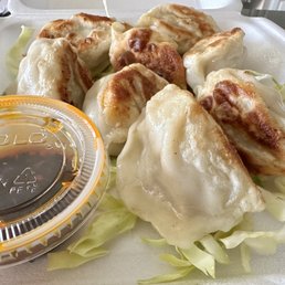 Pot Stickers
