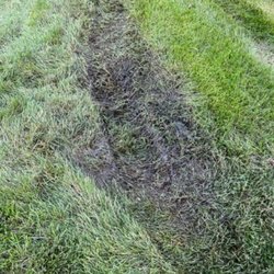 Messenger's Lawn & Landscaping - Horrible - We have to use them as part of our HOA. Otherwise, I would have made different choices.