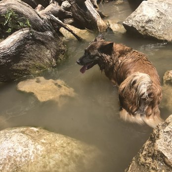 Red Bud Dog Park - Dog Parks Near Me - Austin, Texas Red Bud Dog Park - Dog Parks Near Me - Austin, Texas