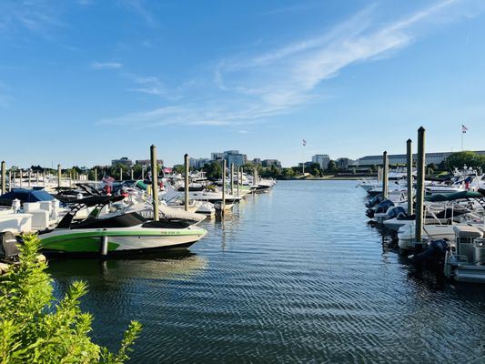 Columbia Island Marina