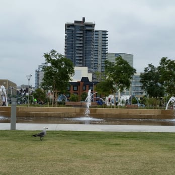Waterfront Park - Pesky bird waiting for his opportunity to steal food. - Parks Near Me - San Diego, California Waterfront Park - Pesky bird waiting for his opportunity to steal food. - Parks Near Me - San Diego, California