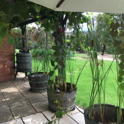 Nicol's Paddock - Outside cellar door