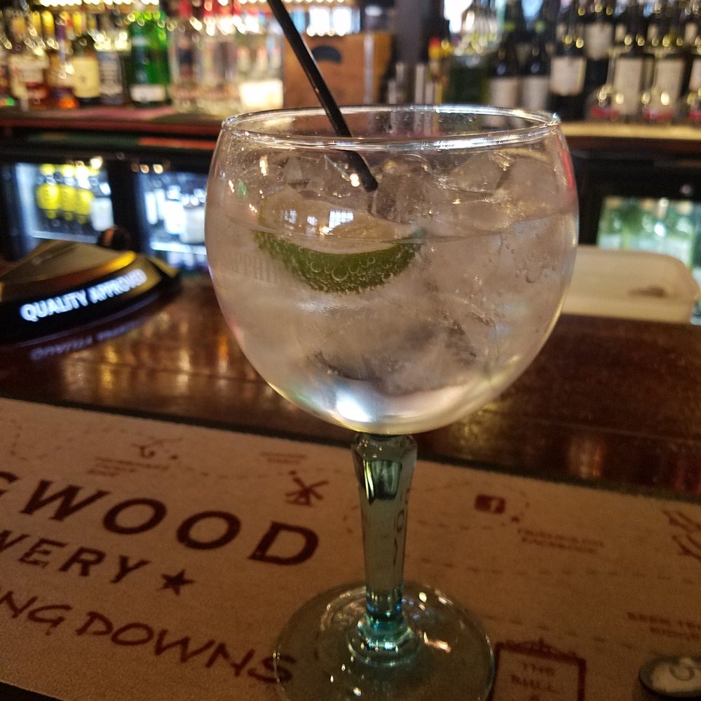 The Grapes - One of the G&Ts from a nice sized menu - Pubs Near Me - Southampton, HAM