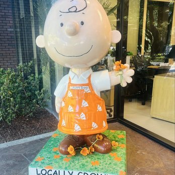 Poppy Bank - Had a great experience at this bank today - Banks & Credit Unions Near Me - Santa Rosa, California Poppy Bank - Had a great experience at this bank today - Banks & Credit Unions Near Me - Santa Rosa, California