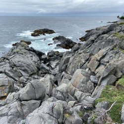 Lobster Cove Trail - The coastline along the trail