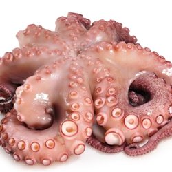 Marine Fisheries - Portuguese pulpo.. We have it in different sizes.. Now taking xmas orders!