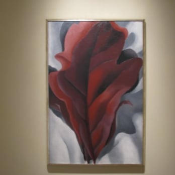 The Phillips Collection - Art Museums Near Me - Washington, DC, District of Columbia
