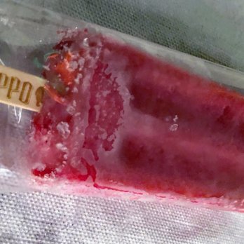 The Hyppo - Desserts Near Me - Gainesville, Florida