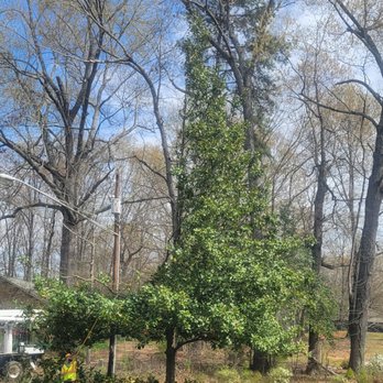 Duke Energy - Electricity Suppliers Near Me - Charlotte, North Carolina