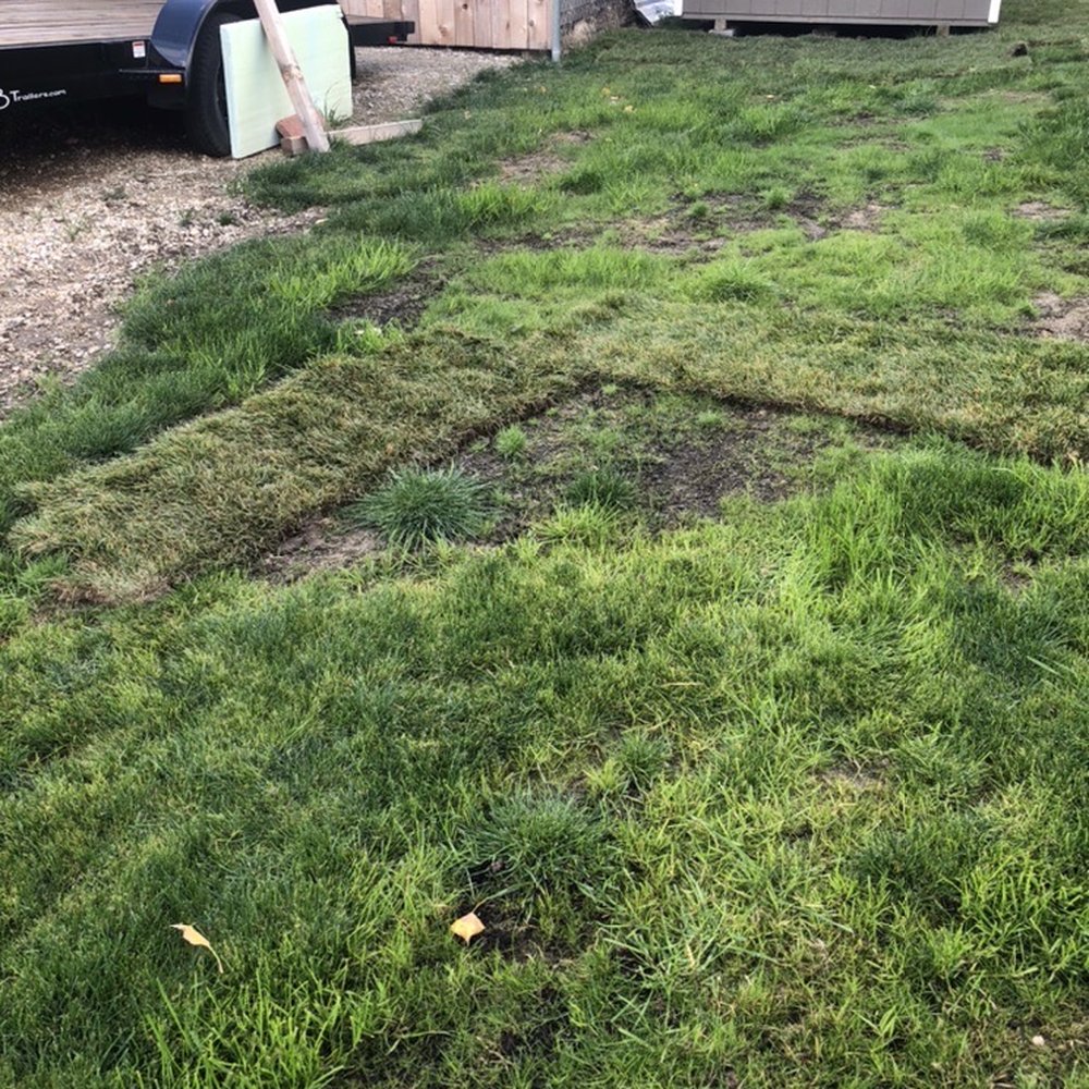 Vern's Landscape - After sod - Landscaping Near Me - Hamilton, Montana