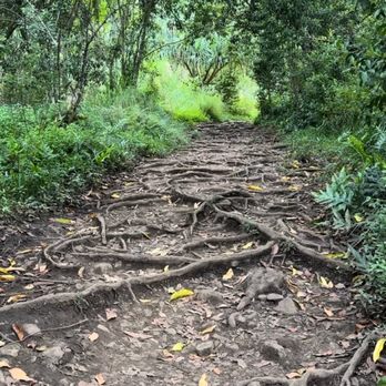 Pipiwai Trail - Hiking Near Me - Hana,, Hawaii