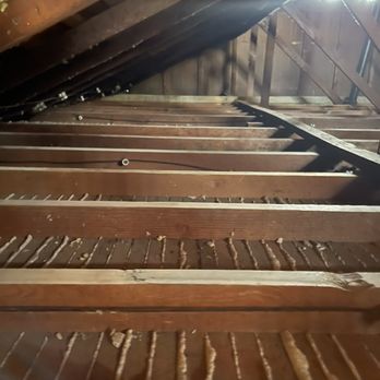 Attic Guys - Cleaned attic! - Pest Control Near Me - Anaheim, California