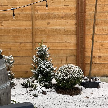 C & P Coffee Company - Love this picture of snow - Coffee & Tea Near Me - Seattle, Washington