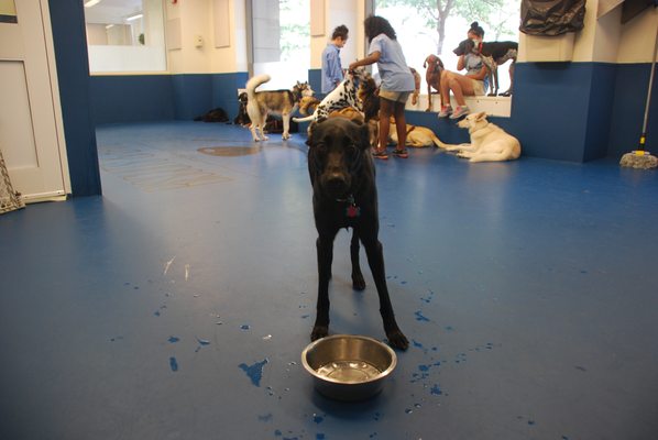 Biscuits & Bath - Riverside Blvd by null