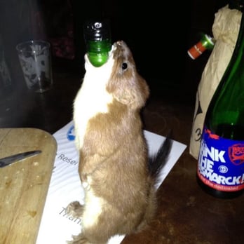 BrewDog Glasgow - Dare gone too far! - Bars Near Me - Glasgow, GLG