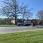 Photo of Spikes Out Tree Service