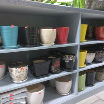 Daniela's Flower Shop II - Vases and pots - Florists Near Me - New York, New York