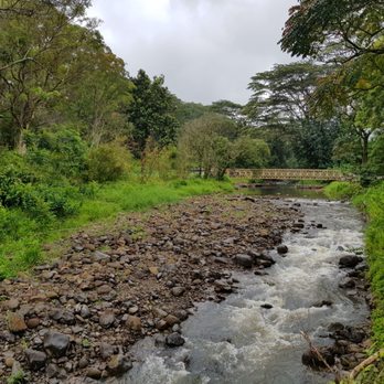 Keahua Arboretum - Parks Near Me - Kapaa, Hawaii Keahua Arboretum - Parks Near Me - Kapaa, Hawaii