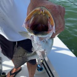 Hatteras Light Tackle Fishing