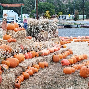 Peach King Orchards - pumpkins piled on hay - Fruits & Veggies Near Me - Keremeos, British Columbia