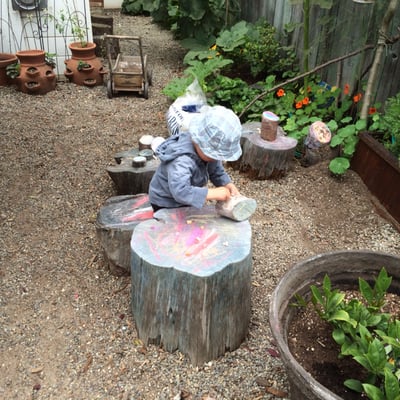 Children's Sunflower House & Garden by null