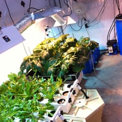 Coast Hydroponics