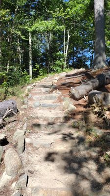 Wolfe's Neck Woods State Park by null