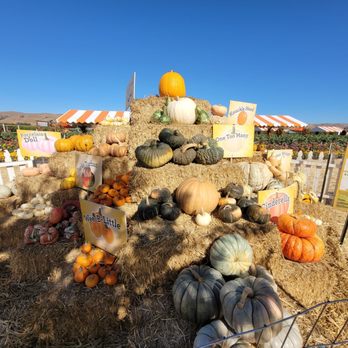 Spina Farms - Farmers Market Near Me - Morgan Hill, California Spina Farms - Farmers Market Near Me - Morgan Hill, California