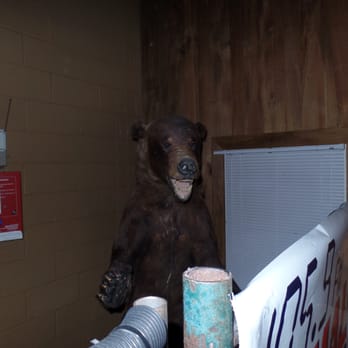 Birchmere - A stuffed bear. I've named him "Sam." - Music Venues Near Me - Alexandria, Virginia Birchmere - A stuffed bear. I've named him "Sam." - Music Venues Near Me - Alexandria, Virginia
