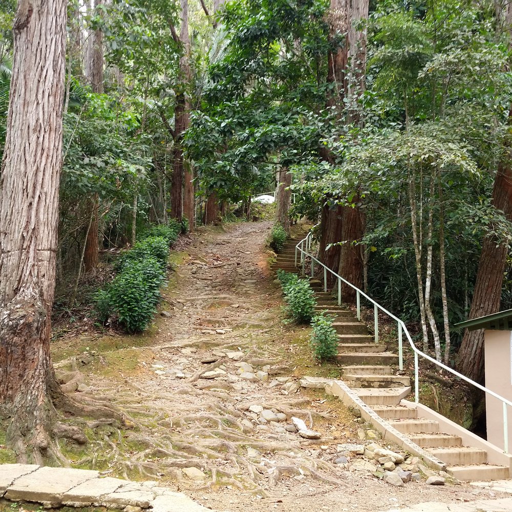 Las Cabañas de Guilarte - Campgrounds Near Me - Adjuntas, Puerto Rico