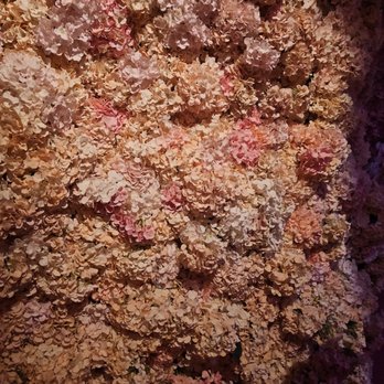 Mercer Labs - The Cave. Ehh - Art Museums Near Me - New York, New York