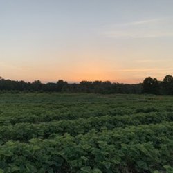Truly an example of the beauty of Hunterdon County