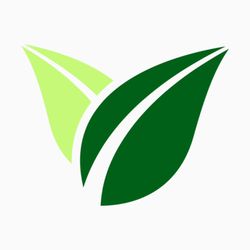 CM Tree Experts - Logo