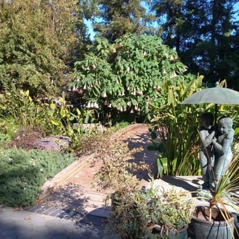 Brownstone Gardens - Koi Pond Area - Venues & Event Spaces Near Me - Oakley, California
