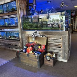 Sunken Ship Aquatics