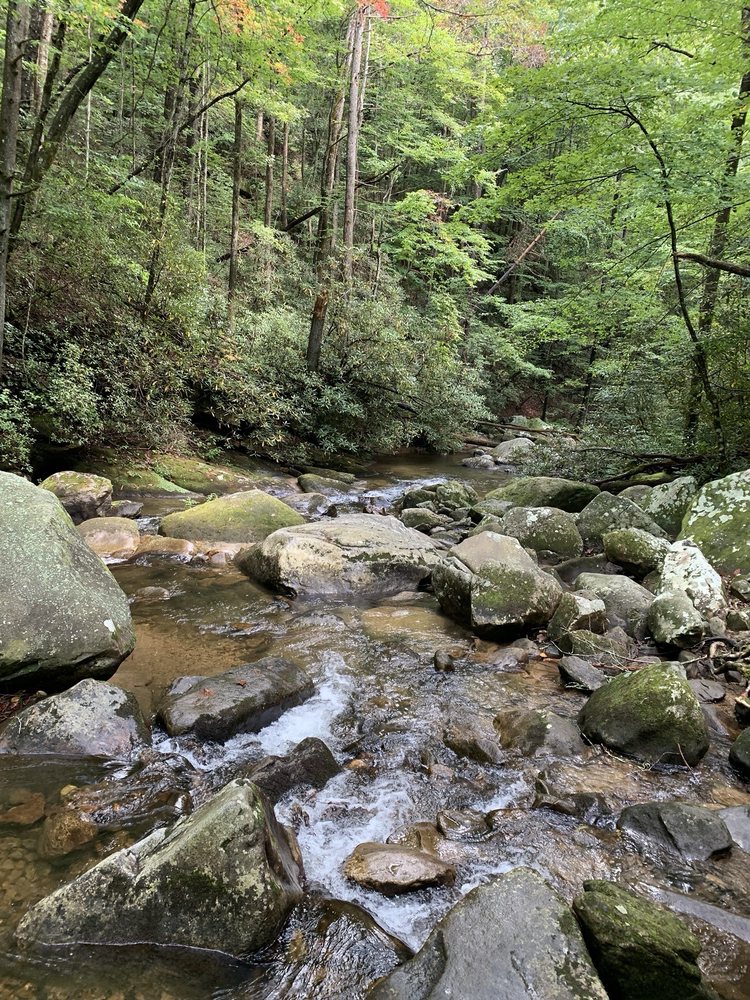 Jones Gap State Park Logo