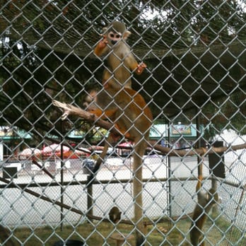 Greater Vancouver Zoo - Monkeys! - Zoos Near Me - Aldergrove, British Columbia Greater Vancouver Zoo - Monkeys! - Zoos Near Me - Aldergrove, British Columbia