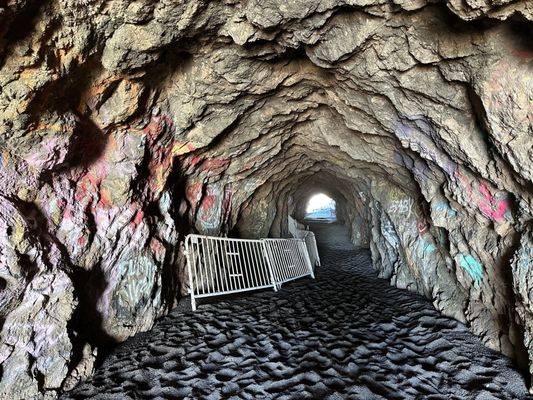 Sutro Baths by null