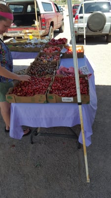 Heirloom Farmers Markets | Rillito Park by null