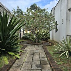 La Casa Blanca - A pathway on the property