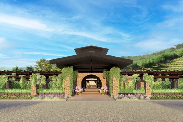 Lewis Cellars by null