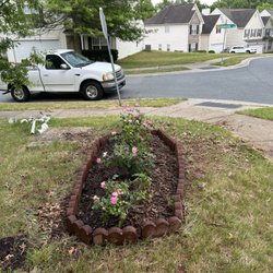 Premier Lawn and Garden - Rose bed project after
