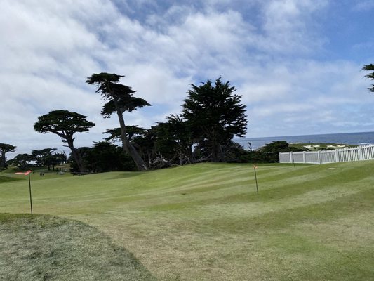 Cypress Point by null