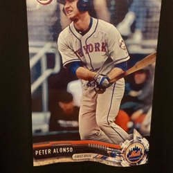 Mega Customs Design - We are loving The Polar Bear In Pete Alonso you must buy one of these on our website megacustomsdesin.com