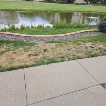 Executive Management Group - This area was healthy, green and weed free before Executive Management Group took over the property. - Property Management Near Me - Lakewood, Colorado Executive Management Group - This area was healthy, green and weed free before Executive Management Group took over the property. - Property Management Near Me - Lakewood, Colorado