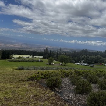 Ali'i Kula Lavender - Lavender garden in July - Tours Near Me - Kula, Hawaii