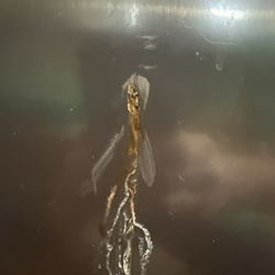 KitchenAid - Hole number 2