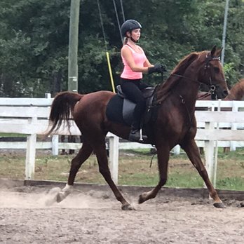 Suncoast Stables and Riding Academy - Horseback Riding Near Me - Odessa, Florida Suncoast Stables and Riding Academy - Horseback Riding Near Me - Odessa, Florida