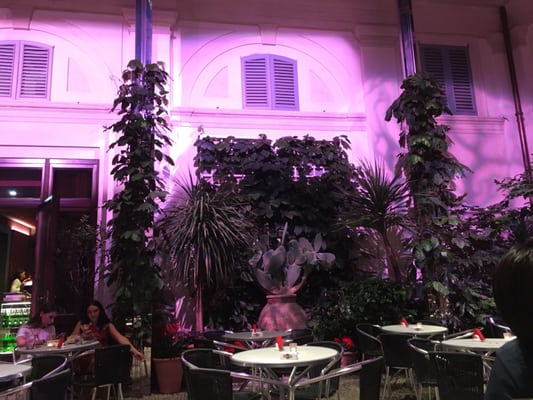 DG Martini ® by null